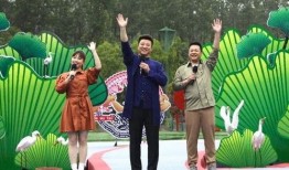 太阳姐姐爆料视频大全最新,揭秘娱乐圈幕后真相